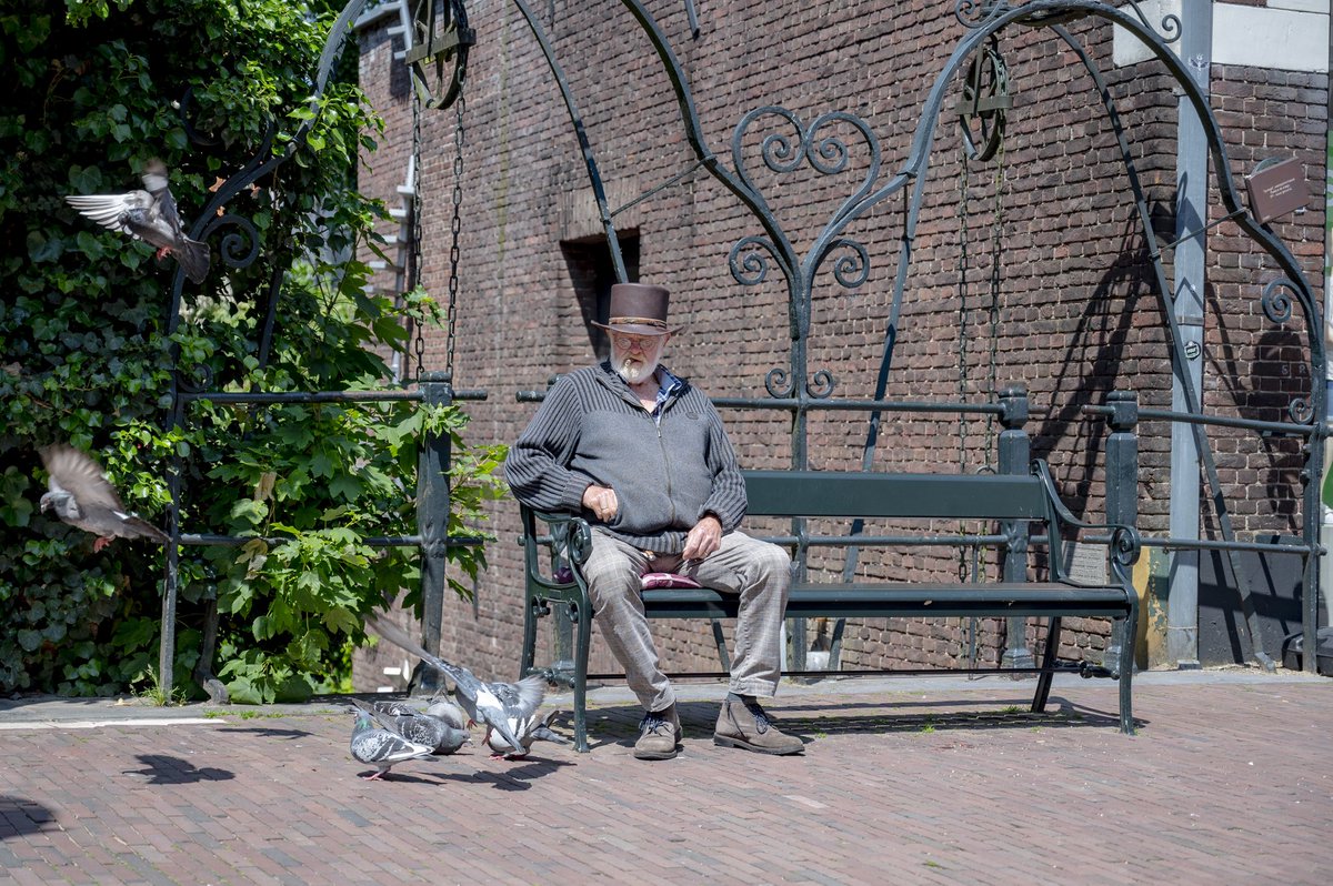 Soms loop je ergens en weet je: “dit is straatfotografie.”

#duivenmelker #straatfotografie #amersfoort