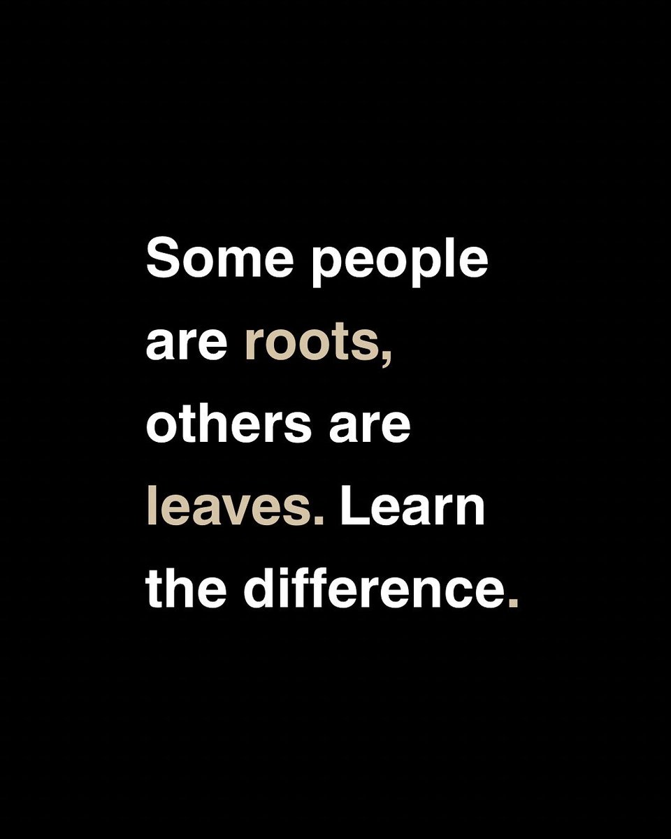 Are you surrounded by roots or just leaves? #Motivation #Inspiration #Mindset