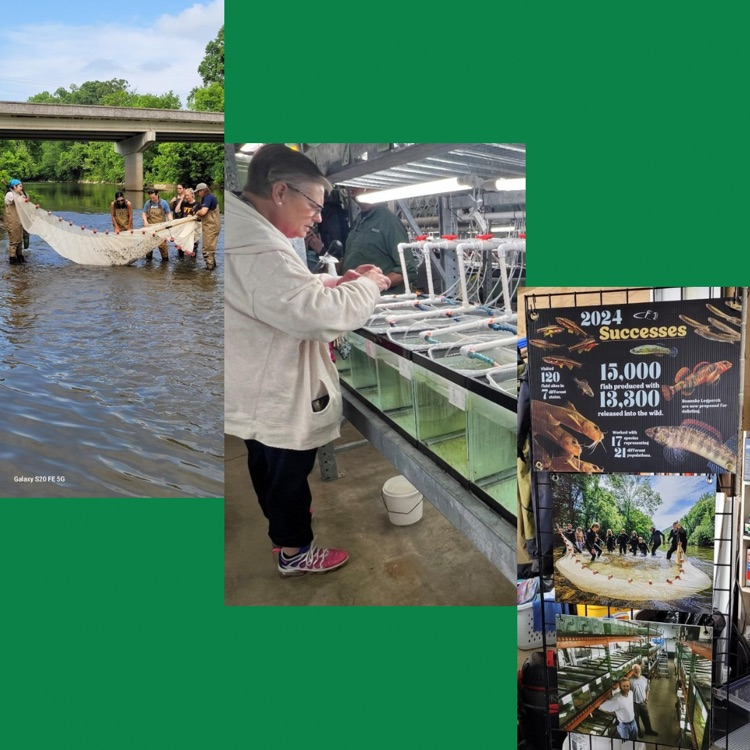 RockwoodTigers1's tweet photo. Did you know that they can tattoo endangered fish to track populations when raised for release into the wild? #summerpd #Biostemcontnuingeducation #conservationfisheries #UTSTEM https://t.co/Lic46zlAGJ