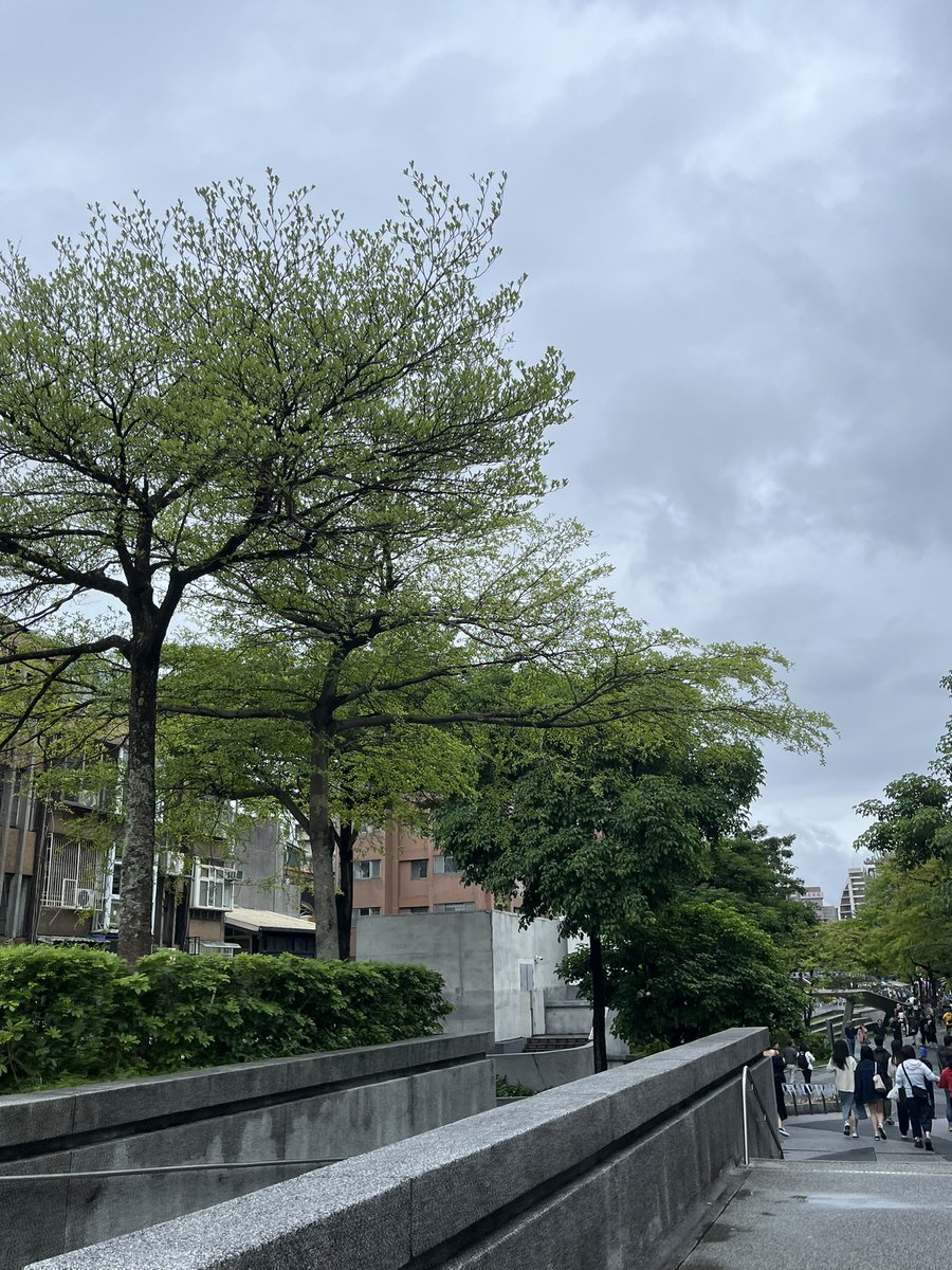 heavenzip's tweet photo. 🍃☔️⚠️🚋🚏 https://t.co/lMZuoNMoQo