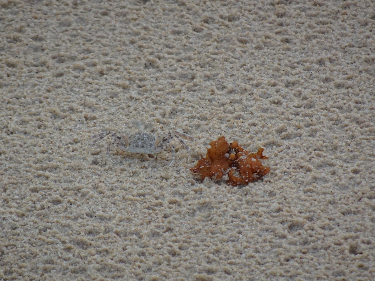 Today's poem: 'It shows' on trivial TV
paulspoemstoday.com

#TVer #gameshow #MUSH #braindead #entertainment  #poem #poetrylovers #poetrycommunity #writing