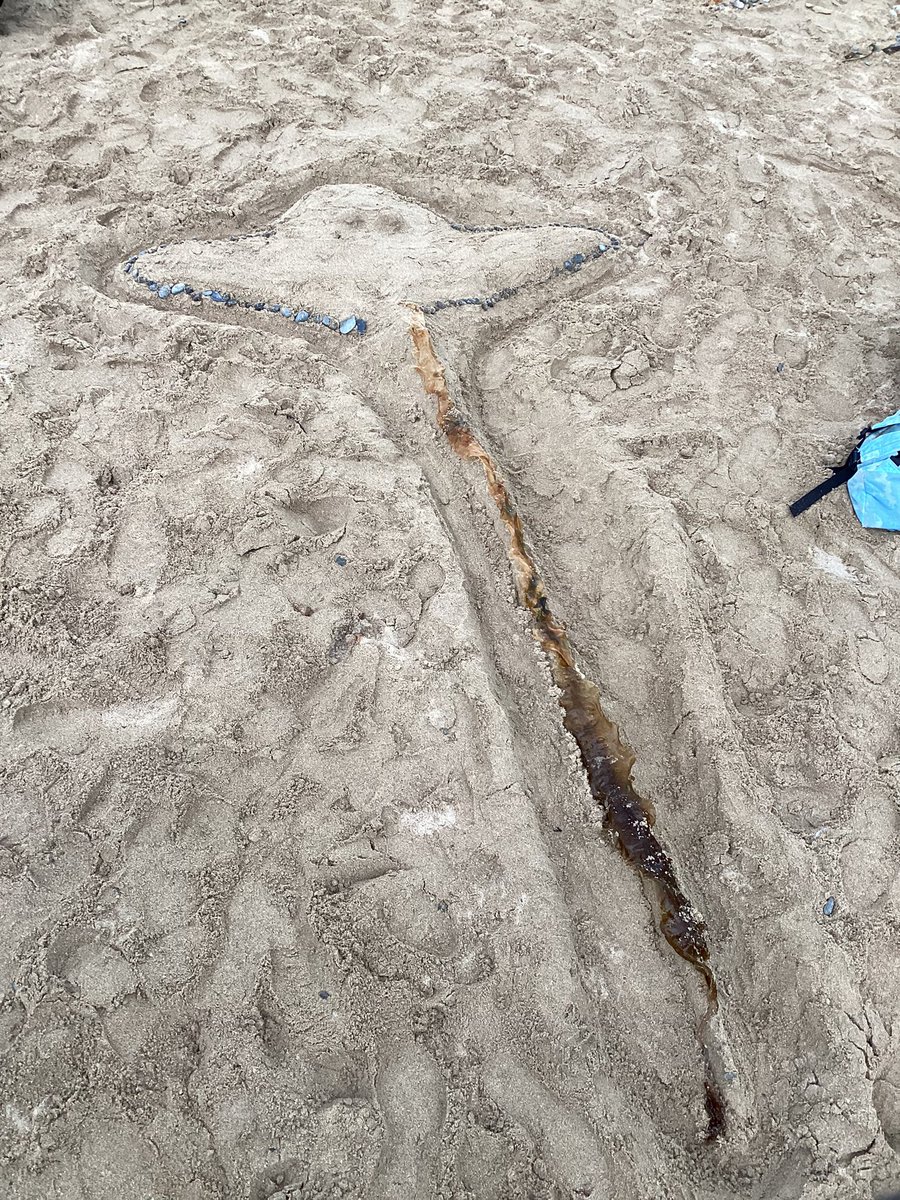 Ashdene Primary School tweet media