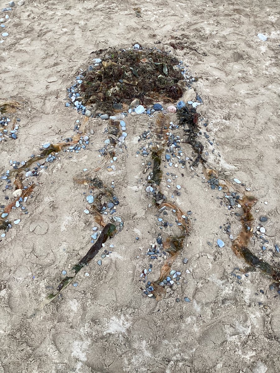 Ashdene Primary School tweet media