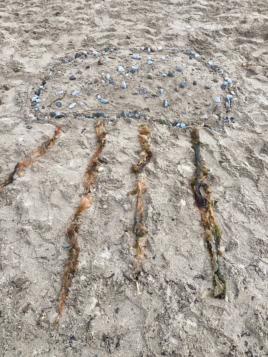 Ashdene Primary School tweet media