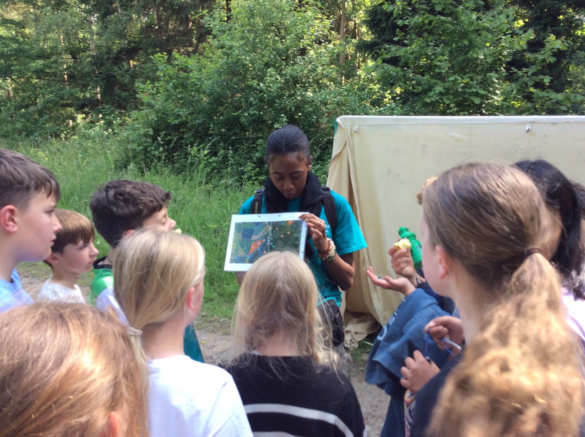 Willingham P School tweet media