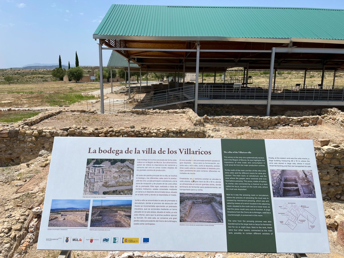 Visita a la villa romana de Villaricos, 
donde coinciden una de las mayores almazaras de aceite y una de las mayores bodegas de vino de la Hispania romana <a href="/Ayto_Mula/">Ayuntamiento de Mula</a> <a href="/RutaVinoBullas/">RutaVinoBullas 🍇</a> <a href="/DOP_Bullas/">BULLAS D.O.P</a>