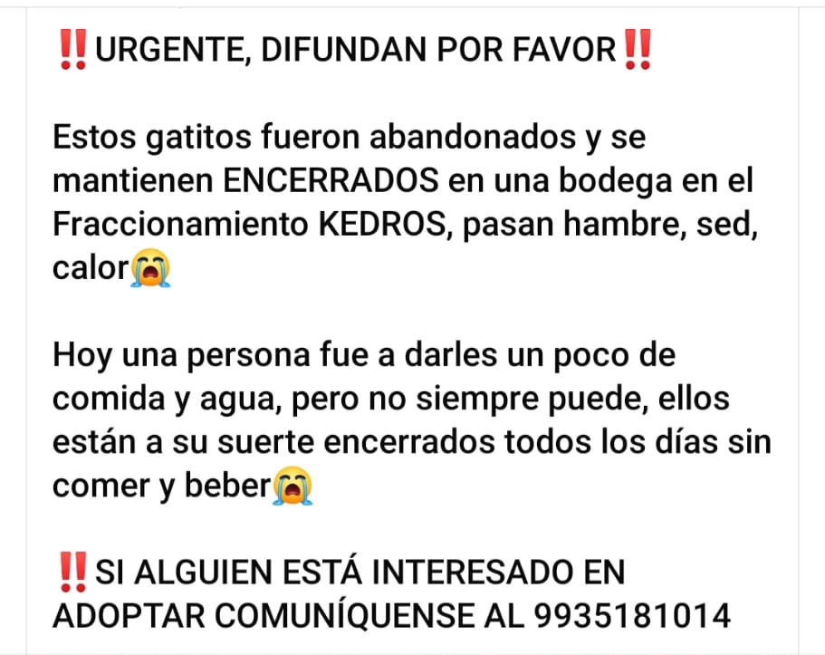 Favor de compartir esta publicación #urgente #apoyo