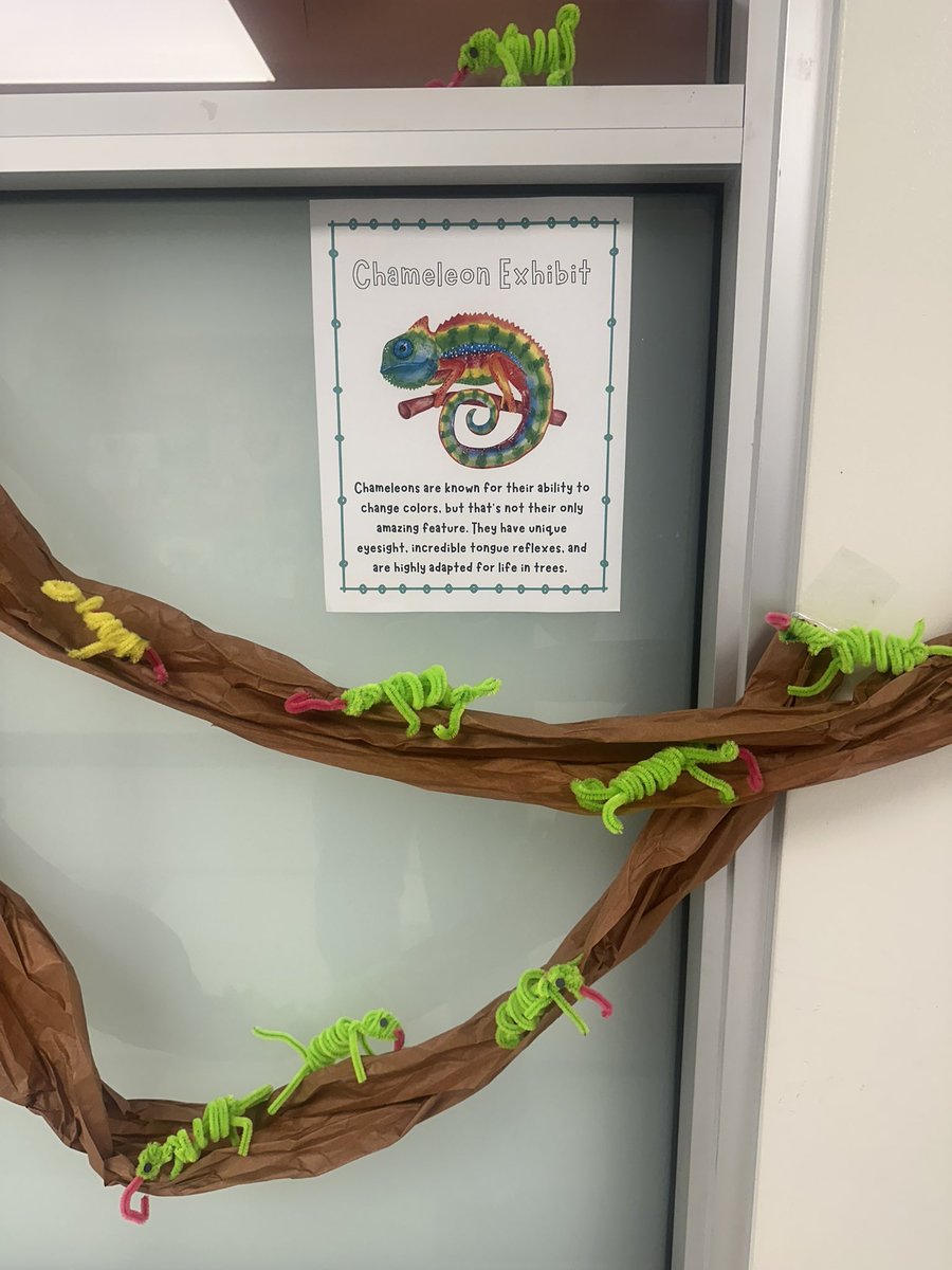 JoeMay_MAS's tweet image. Pipe cleaner crafts!! How cute are these little critters?!
@DisdELO