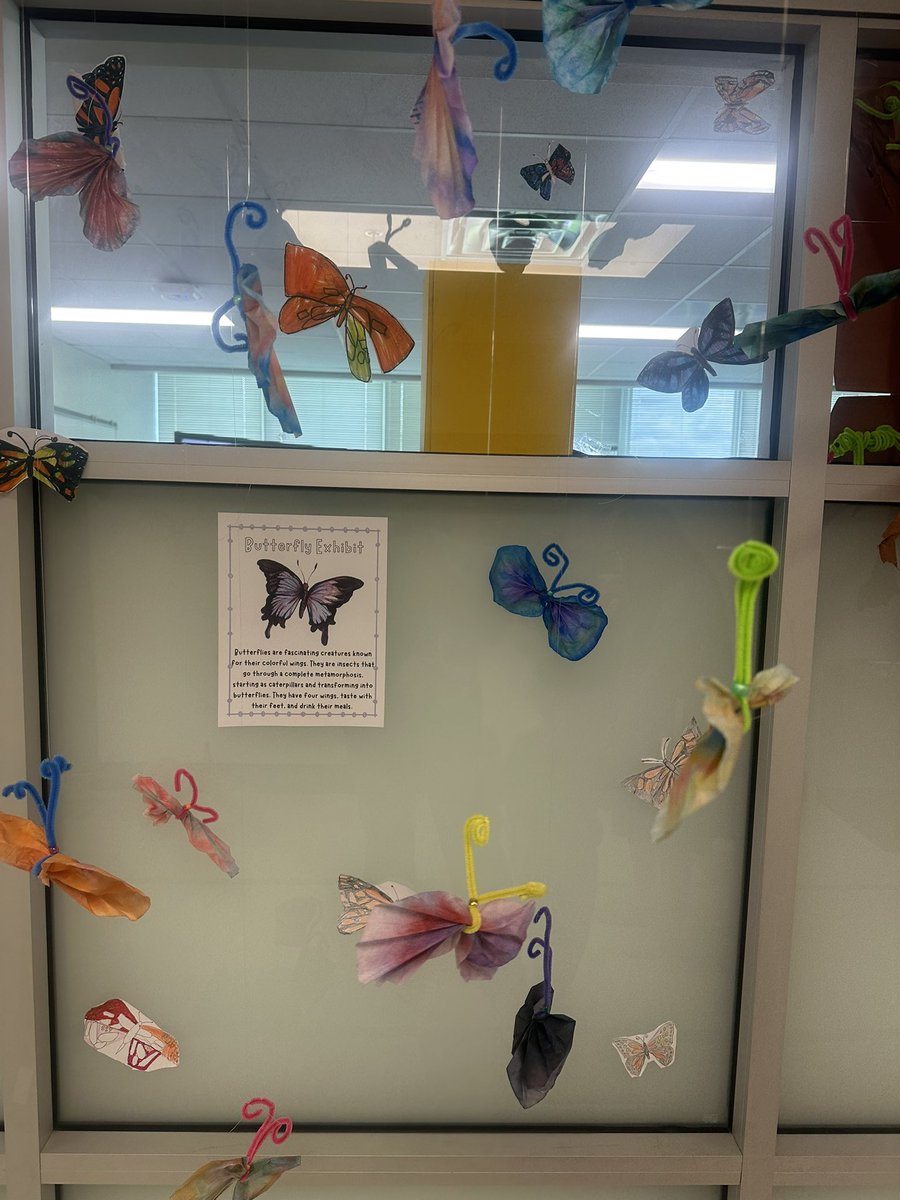 JoeMay_MAS's tweet image. Pipe cleaner crafts!! How cute are these little critters?!
@DisdELO