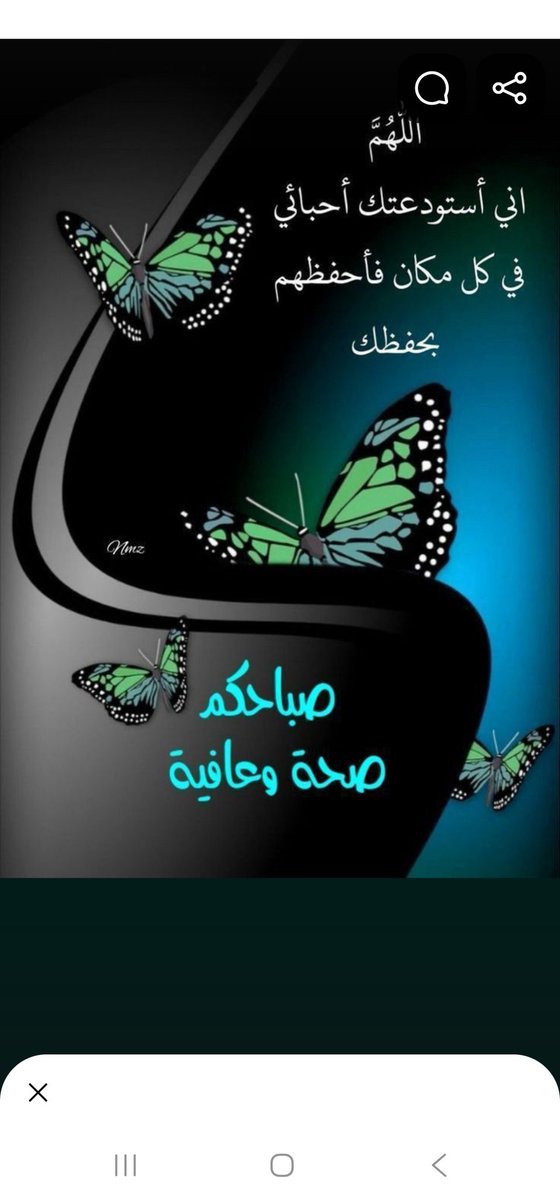 <a href="/alsalihynajat/">najatalsalihy</a>