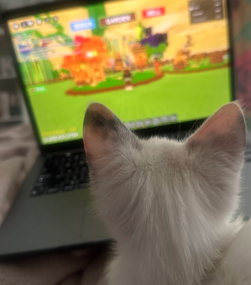 even my kitten is into grow a garden lol