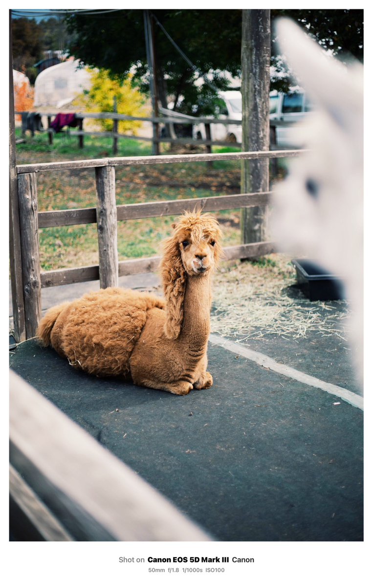 ユキ様 - Search / X