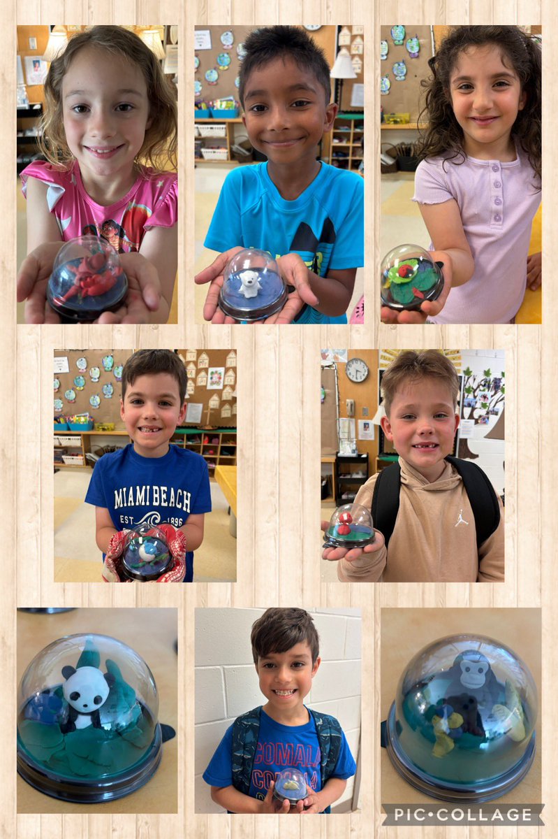 Mrs. Blair (@blairdenisa) on Twitter photo We had so much fun researching about an animal for our science project! 🍃 🐻
We learned about their characteristics, what they eat, where they live etc. and then created these little habitats to replicate their environment! Love them all!🥰 <a href="/StAnneOCSB/">St. Anne School</a> <a href="/OttCatholicSB/">Ottawa Catholic School Board</a> We had so much fun researching about an animal for our science project! 🍃 🐻
We learned about their characteristics, what they eat, where they live etc. and then created these little habitats to replicate their environment! Love them all!🥰 <a href="/StAnneOCSB/">St. Anne School</a> <a href="/OttCatholicSB/">Ottawa Catholic School Board</a>