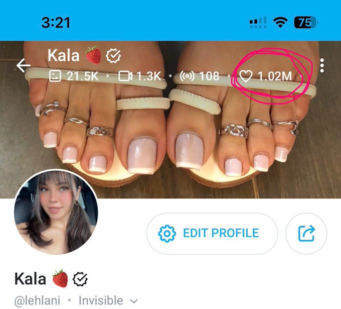 Thank you guys so much that&rsquo;s crazy !!! 😭🫶🏼🥰🩷💋 https://t.co/N7vopidtME