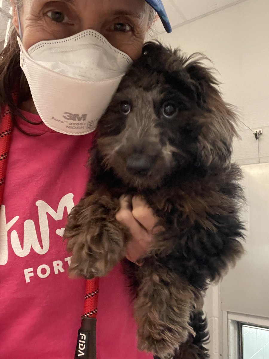 karenaspwriter's tweet photo. Just me and a 4-month-old doxiepoo I recently pulled from a puppy mill.
Masked because I want to keep all beings healthy, including Isaac here! He’s at https://t.co/e43bd1DQ0r and will be up for adoption soon.
#maskupamerica #evermasking https://t.co/L4ORKeFaGi