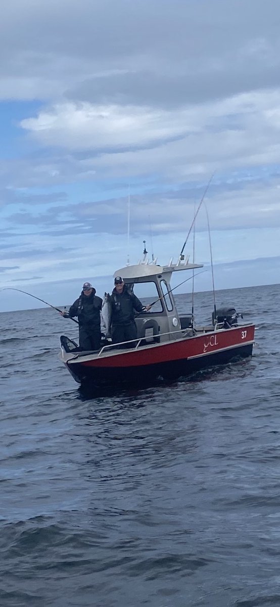 Just had a bucket list trip to <a href="/FishQCL/">Queen Charlotte Lodge</a> this past weekend. Absolutely amazing and can’t wait to go back!!