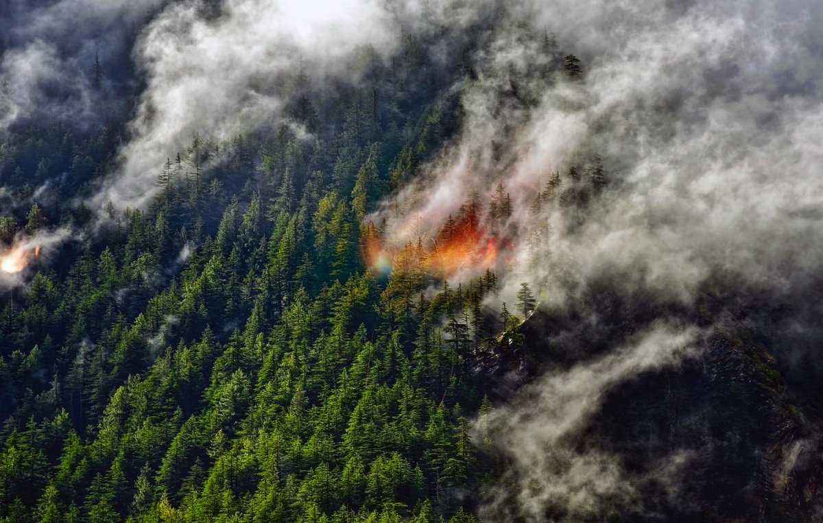 haleywright864's tweet photo. Wildfires often come out of nowhere. But this article from the Allstate Blog can help you prepare for them: https://t.co/FIfiprkCeo https://t.co/4MvHJ8tjPL