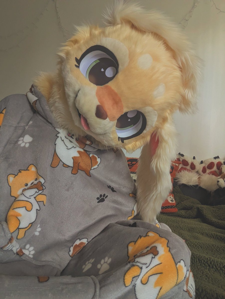 PUPPY IS HERE!!! 🥰