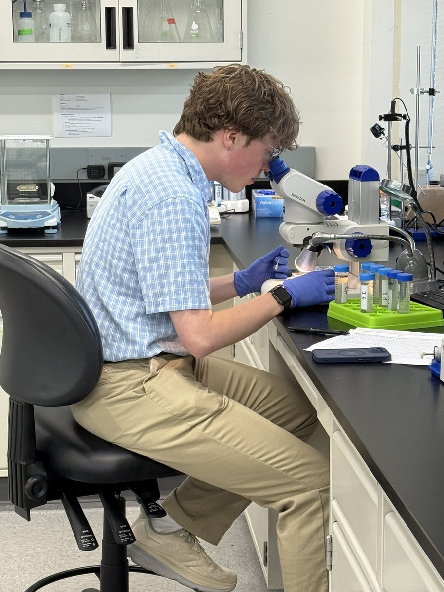 Meet Innatrix’ summer intern, Ben Ryan! He is a forensic biology undergrad who discovered his love for plant biology (which makes sense since plants are awesome)

With our latest SCN trial taken down this week, Ben is busy counting cysts. 

Excited to be Ben’s mentor this summer!