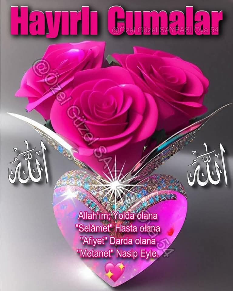 Hasan Olgar (@hasanolgar18) on Twitter photo 