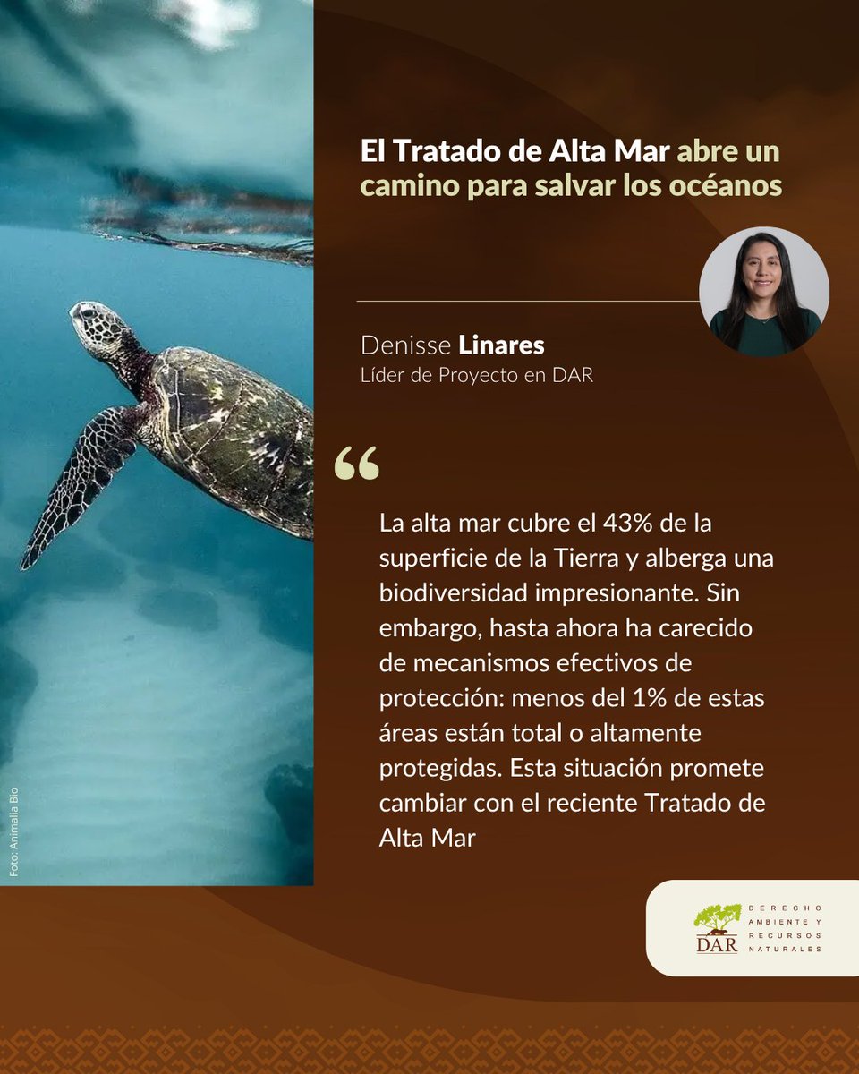 🌊 El Perú se suma al Tratado de Alta Mar, una herramienta clave para avanzar hacia la meta global de conservar el 30% de nuestros mares al 2030.

Conoce por qué  no podemos desaprovechar esta oportunidad 👉bit.ly/3ZsWdjk