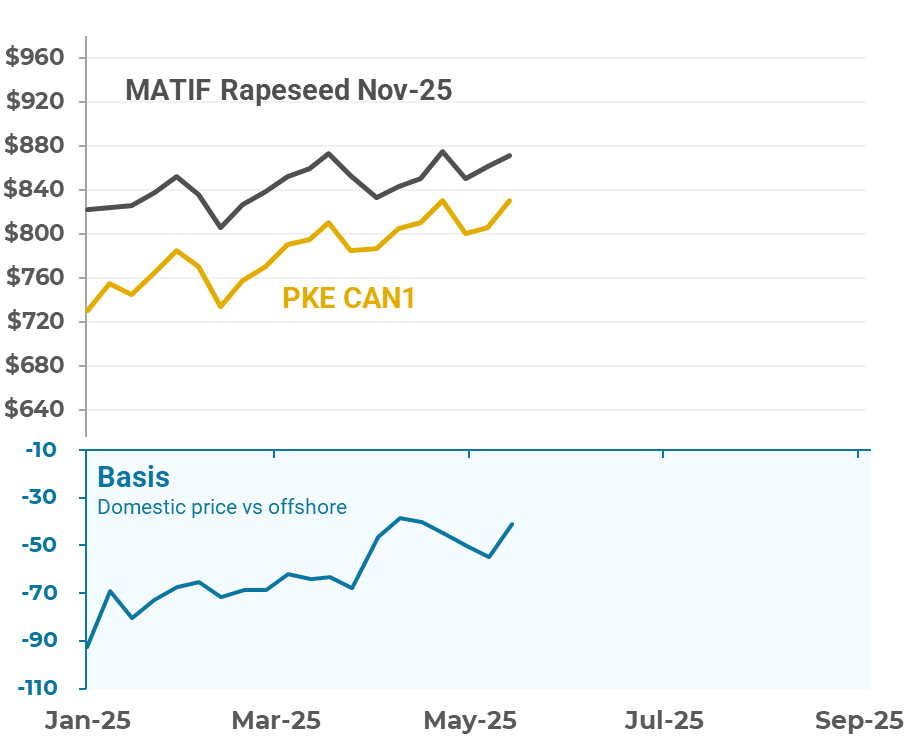 2025-26 #canola prices are historically strong at ~$830 port equiv in VIC/SNSW/SA, with NNSW a discount. Our relative value to MATIF has firmed given the tough start across major 🇦🇺 canola growing regions. Given this &amp; the risks ahead, grower forward selling has been very light.