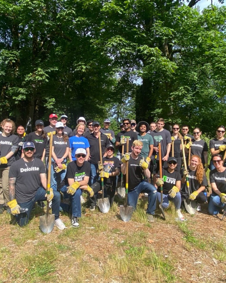 LifeAtNow's tweet image. Four cities. One mission. Endless impact. ๐ซ Proud to partner with Deloitte on their Impact Day, supporting amazing organizations across the country. Together we're building brighter futures - one community at a time.
#LifeAtNow