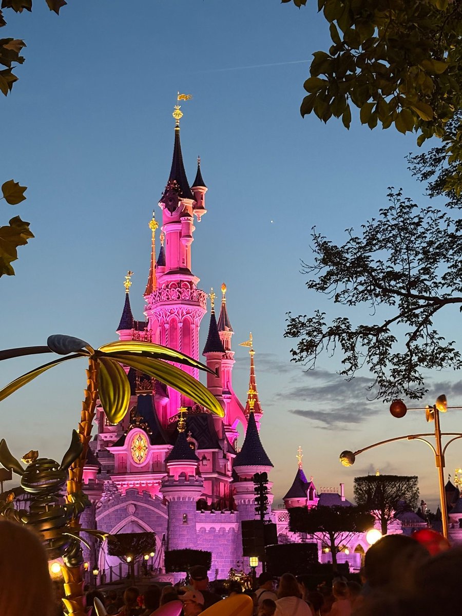 Sara Mitchell tweet media