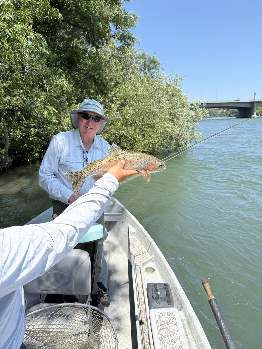 Nice rainbow I caught on the Sac today.