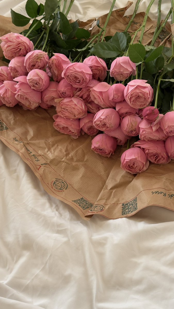 𝘋𝘌𝘔 tweet media