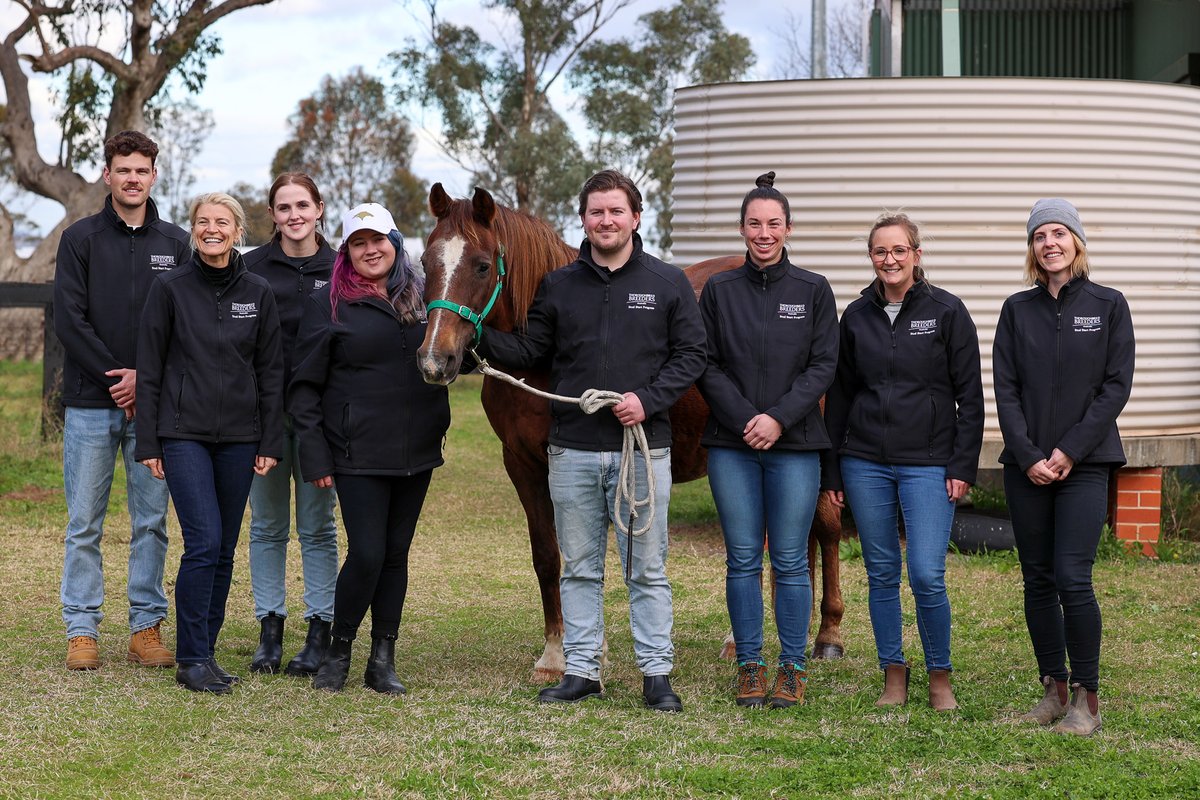 Applications close today – don’t miss out.

Discover. Learn. Start.

Stud Start is your chance to step into the world of thoroughbred breeding.

With accredited study, hands-on training and expert connections, it’s the first step toward a career you’ll love.

This is your last