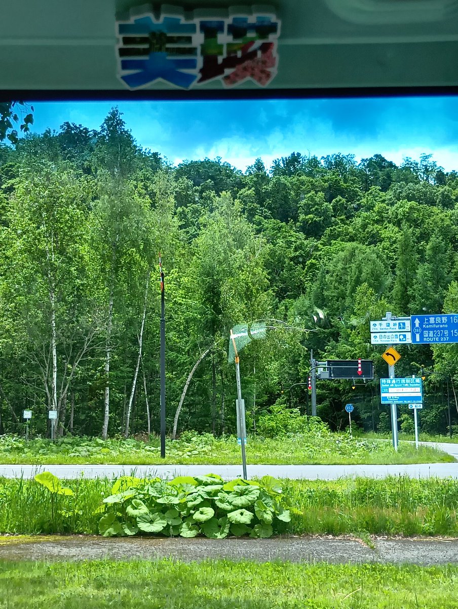 iceGreen1121's tweet photo. オロロンラインの旅　3日目　Part３
　　　　　　改め　
　　　　北の国からの旅

❸美瑛(びえい白金ビルケ)青の池

十勝岳望岳台からの写真

#美瑛
#美瑛岳
#十勝岳
#活火山 https://t.co/u31xFzGgQr