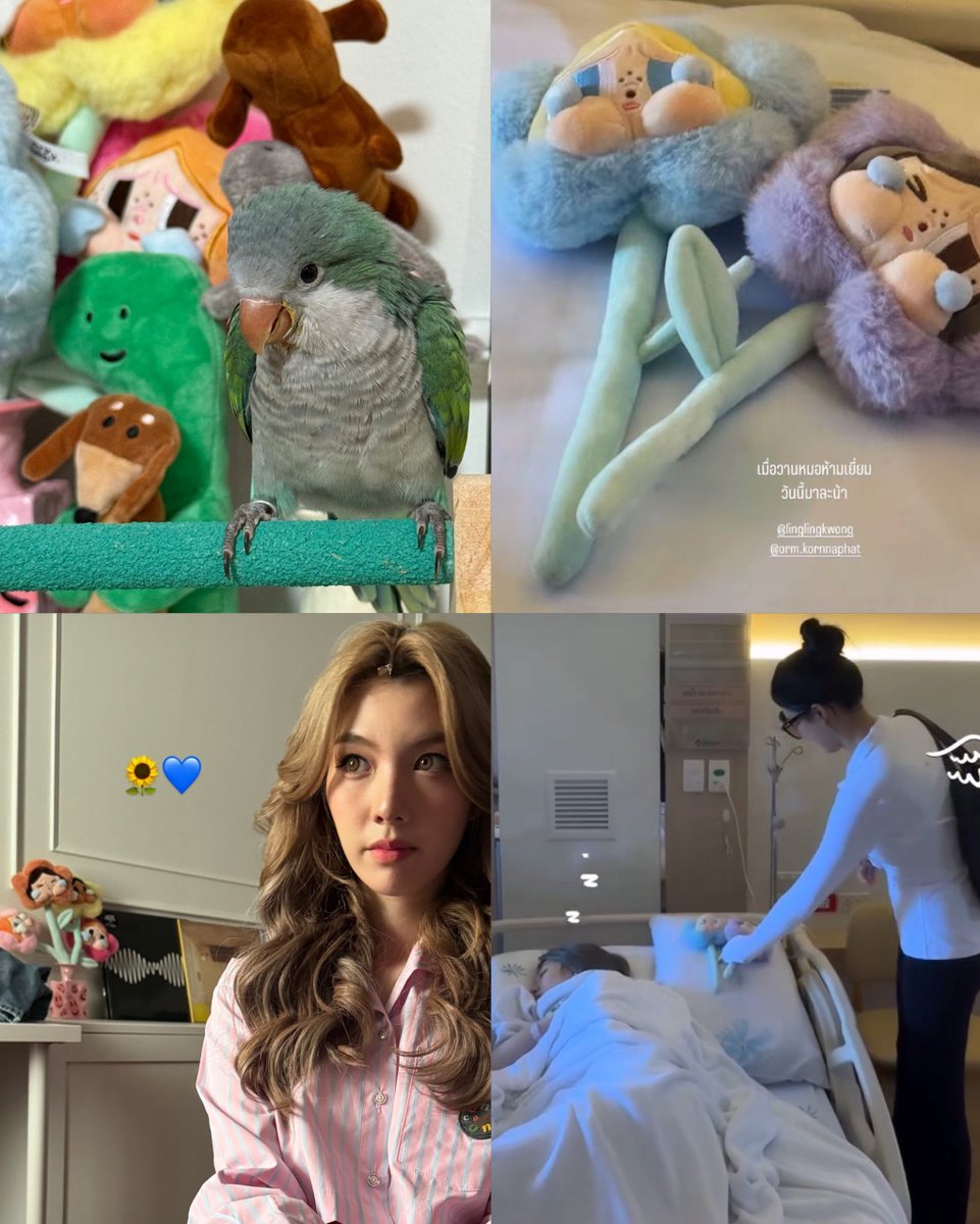 jamedeamas's tweet image. Abu is being raised in a cage surrounded by lots of toys, including the Crybaby flowers that Orm already had 4 of them in the first place, and when she got sick, Ling went out and bought exactly the 2 flowers that were missing from Orm’s collection to gift to her 🥹

with so many…