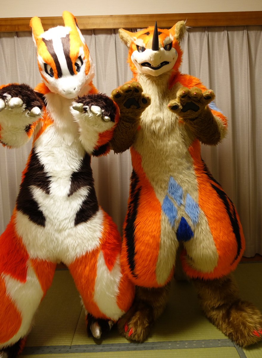 らいちゅる！！！( ｢ `꒳´ )｢
#FursuitFriday