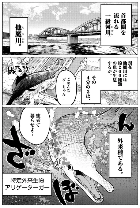 本日発売のスペリオール13号に『光って!月魄さん』第4話掲載されてます!
外来種サーの姫、河童の弾子回です。
ビッコミでも読めます。よろしくお願い致します!

https://t.co/SkokvZ75Zm 
