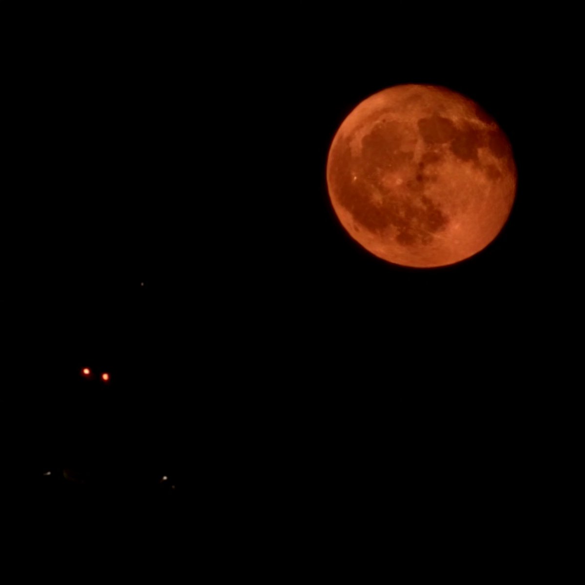 Tiffany Murphy tweet media