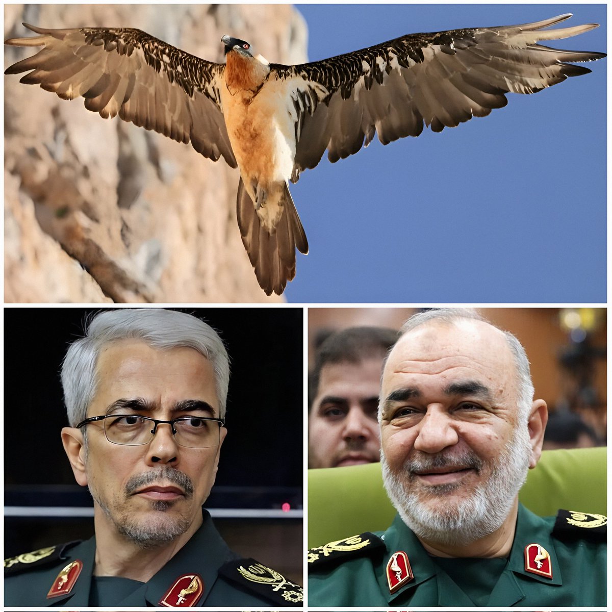 خیلی ماشالا داری بزرگوار...
