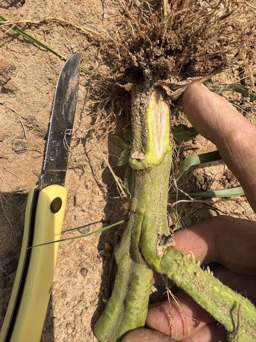 Ed Sikora tweet media