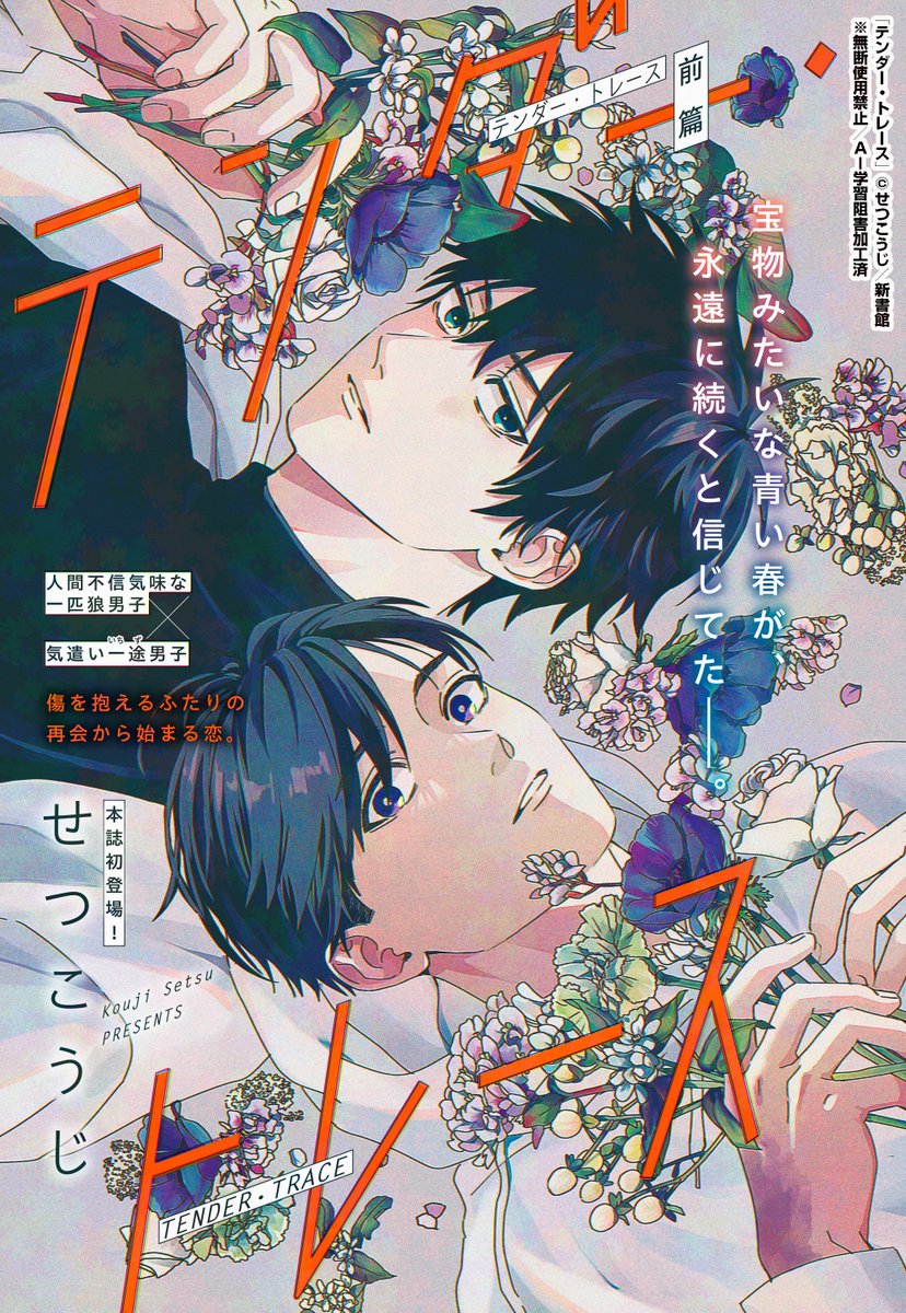 シェリプラス 6冊 全て切り離しなし Amazon.co.jp: Cheri+(
