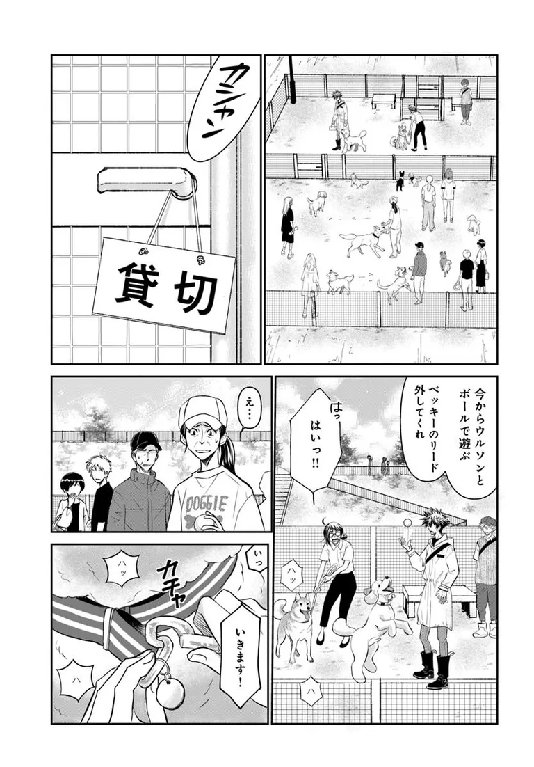 🔔更新情報🔔

『DOG SIGNAL』(作:みやうち沙矢@DogSignal)
第55話④を公開しました!
久しぶりにやってきたベッキーは--🥎どうぞお楽しみください!

https://t.co/Vvr74hnWP0

#カドコミ #コミックブリッジ #うちのこシグナル 