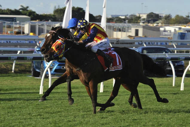 It would be fitting if either The Inflictor or Call Da Vinci won at Eagle Farm tomorrow.
They are the first Group 1 runners for Under The Louvre, winner of the Stradbroke in 2016.
racingandsports.com.au/news/racing/ne…