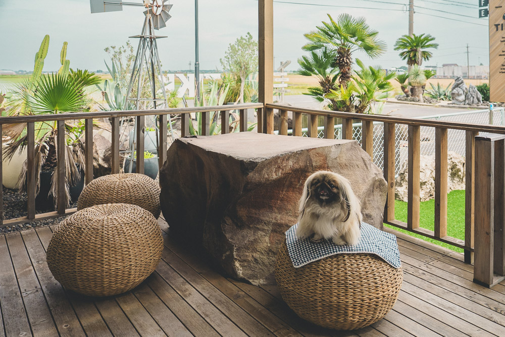 岐阜の超おしゃれカフェ『TIKKER』が、ワンちゃんエリア拡大したので行ってきました。
inucafe-repobu.com/article/tikker