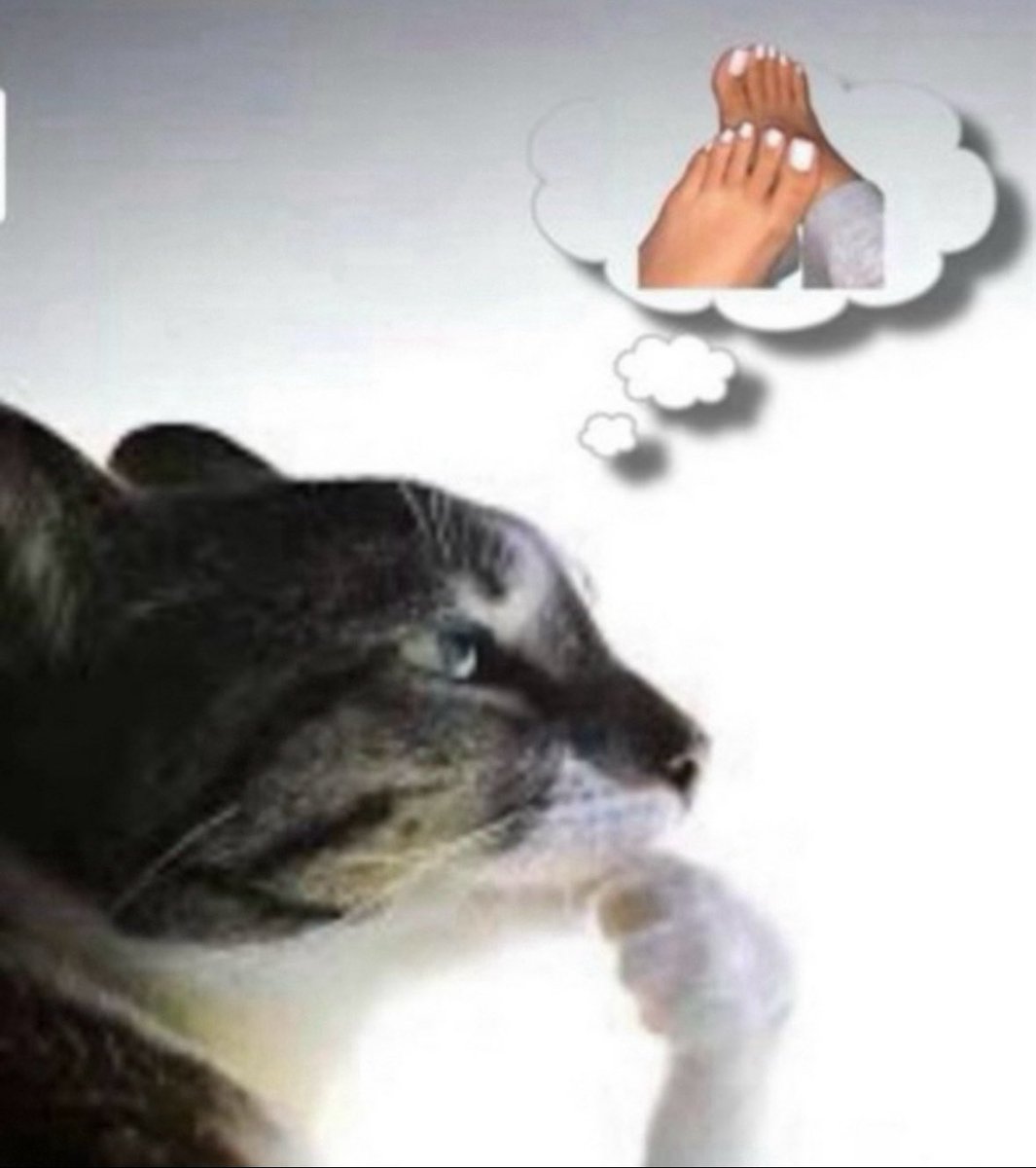 LaFlare🇭🇹 (@zoedamncool) on Twitter photo 