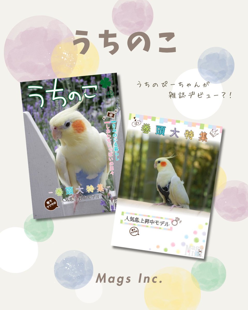 Mags_Inc's tweet photo. ６月15日はオウムとインコの日🦜

日付は、オウム(06)とインコ(15)の語呂合わせから📅
オウムとインコに限らず、鳥類のペットの幸せを願う日として制定されたそうです🦜

おしゃべり上手なぴーちゃん😊
ぴーちゃん雑誌デビューフォトブックを作りました🦜

#うちのこ　
#オウムインコデー 
#magsinc https://t.co/CtV3BHNtwR