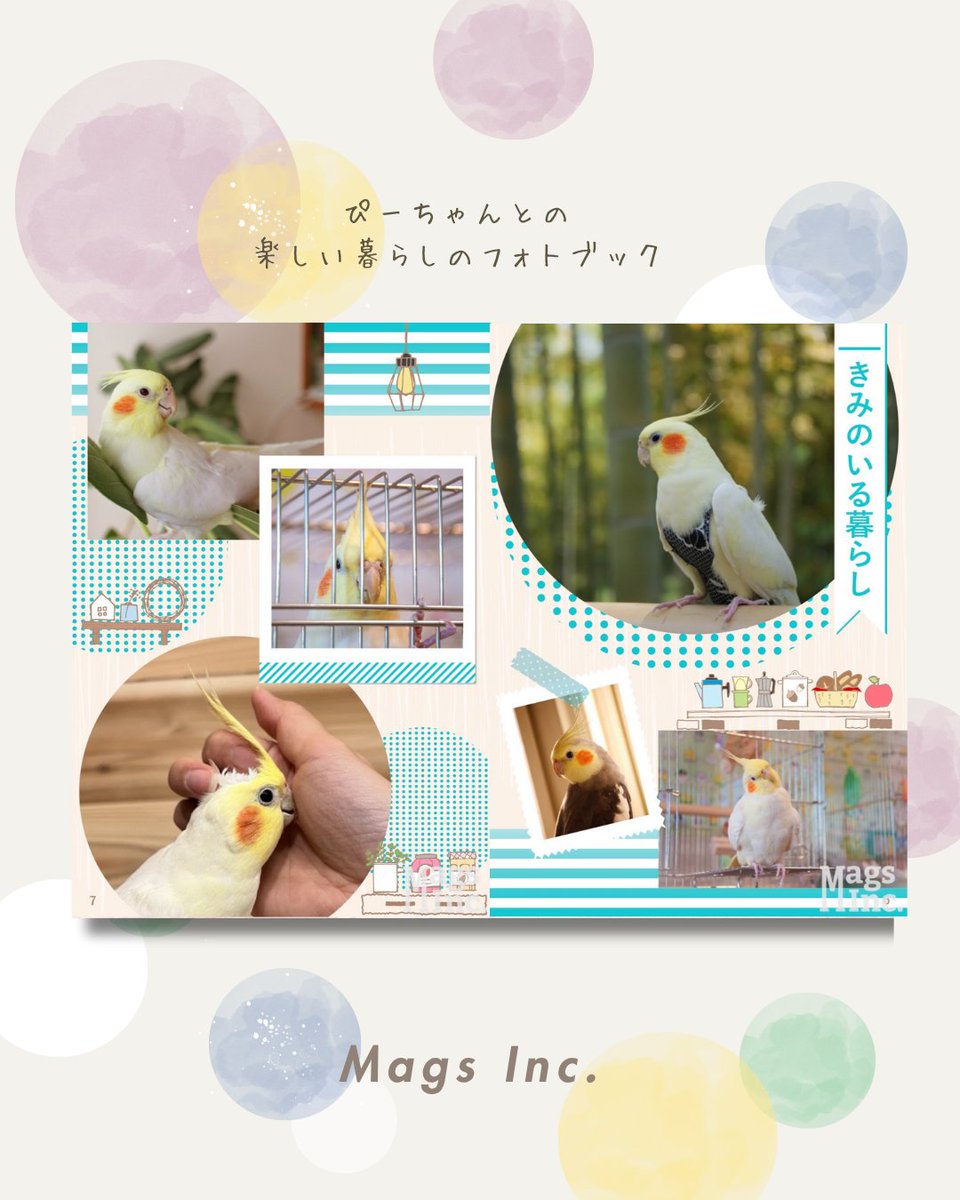 Mags_Inc's tweet photo. ６月15日はオウムとインコの日🦜

日付は、オウム(06)とインコ(15)の語呂合わせから📅
オウムとインコに限らず、鳥類のペットの幸せを願う日として制定されたそうです🦜

おしゃべり上手なぴーちゃん😊
ぴーちゃん雑誌デビューフォトブックを作りました🦜

#うちのこ　
#オウムインコデー 
#magsinc https://t.co/CtV3BHNtwR