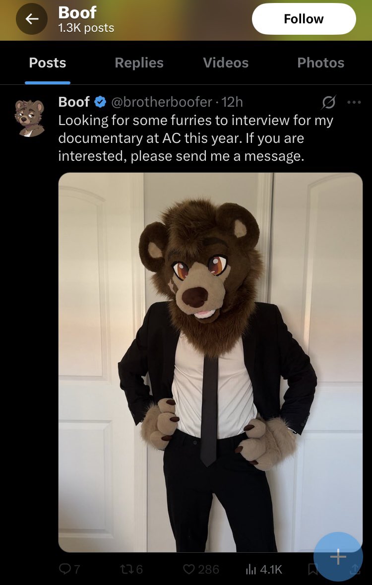 Ringo Tanuki tweet media
