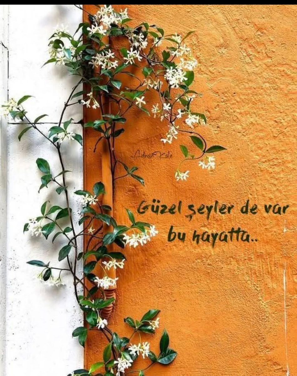 Aslında bir çoğumuzun istediği ... bir yudum sevgi , bir yudum insan , bir yudum güven ve bir yudum kahve , hepsi bu !

.... gün güzellikler getirsin...