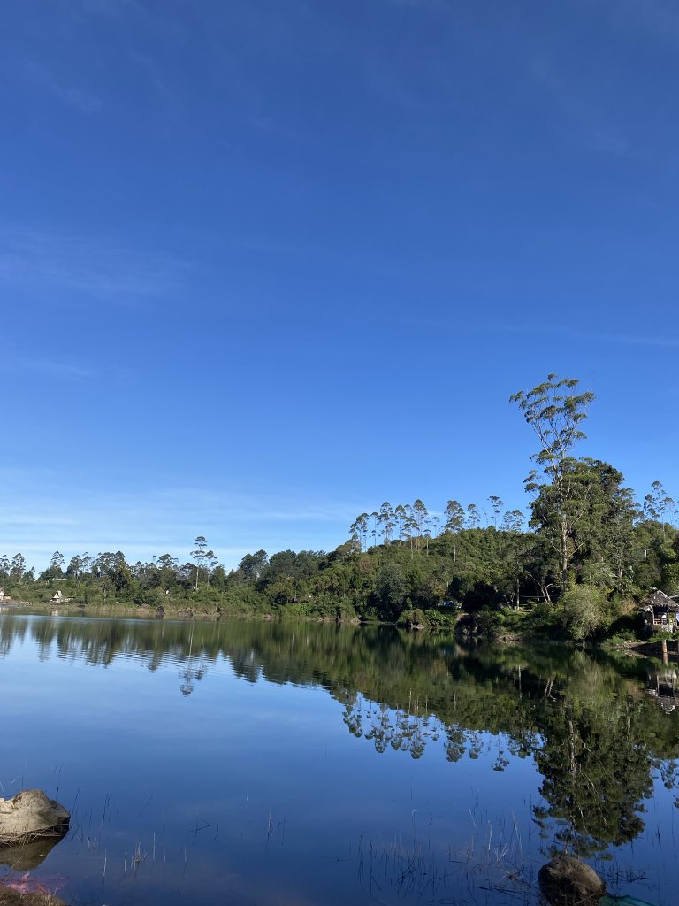 SelvyO.S tweet media