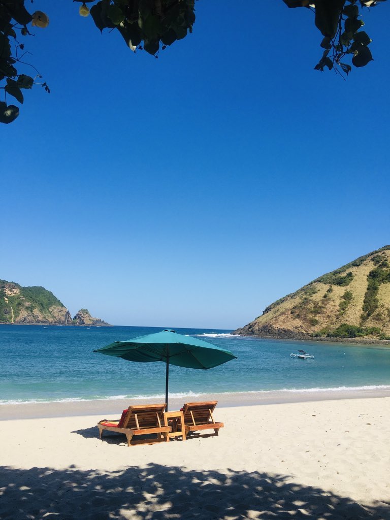 SelvyO.S tweet media