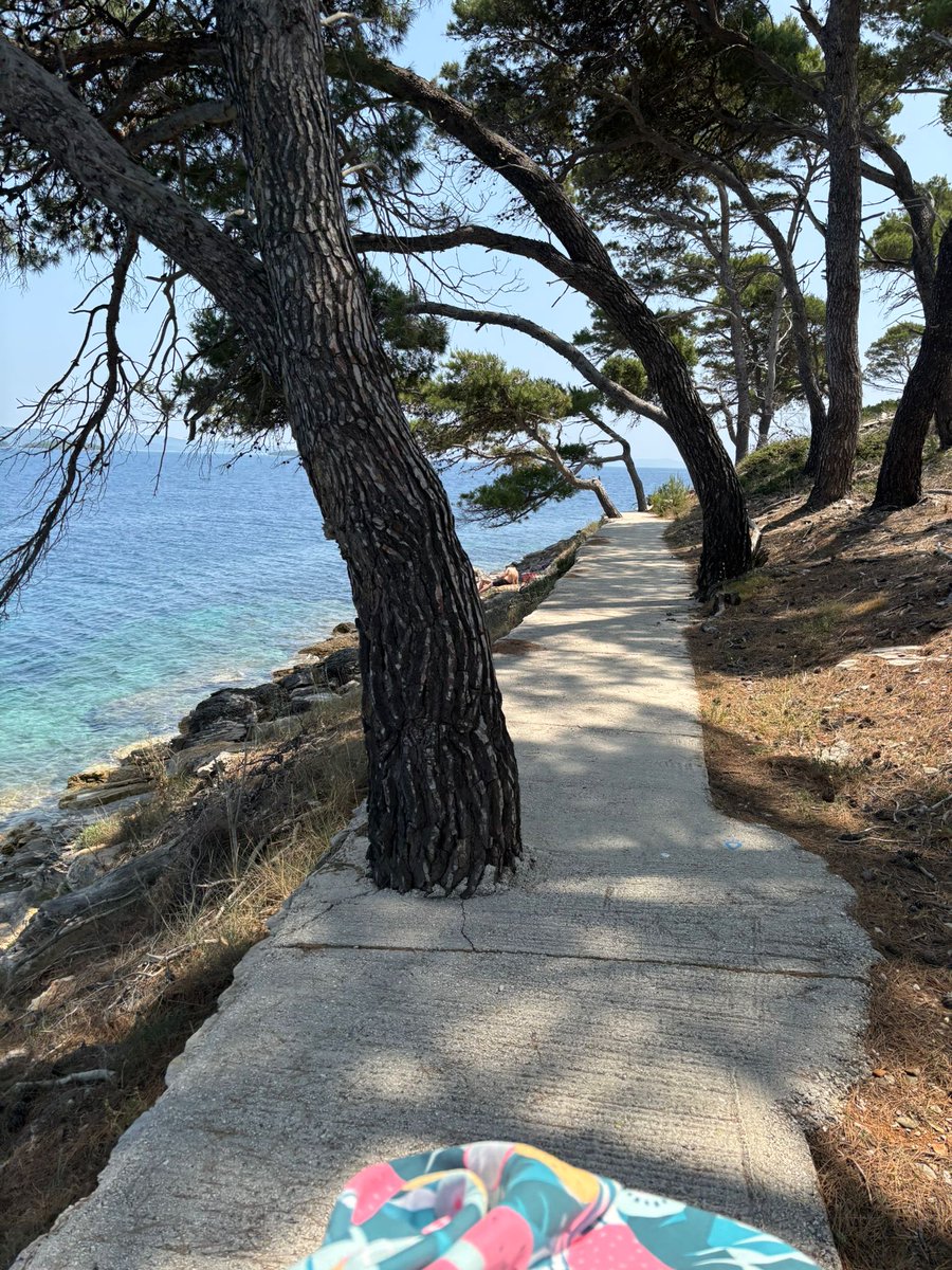 Dugi Otok, ASEN summer school trip.